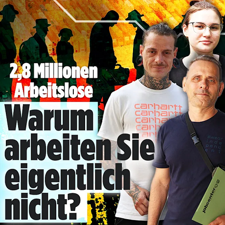 Bild einfügen