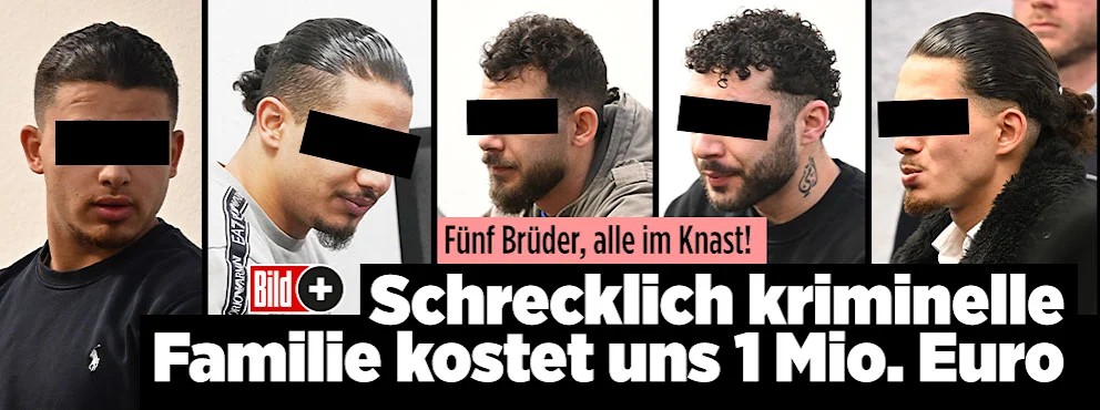 Bild einfügen