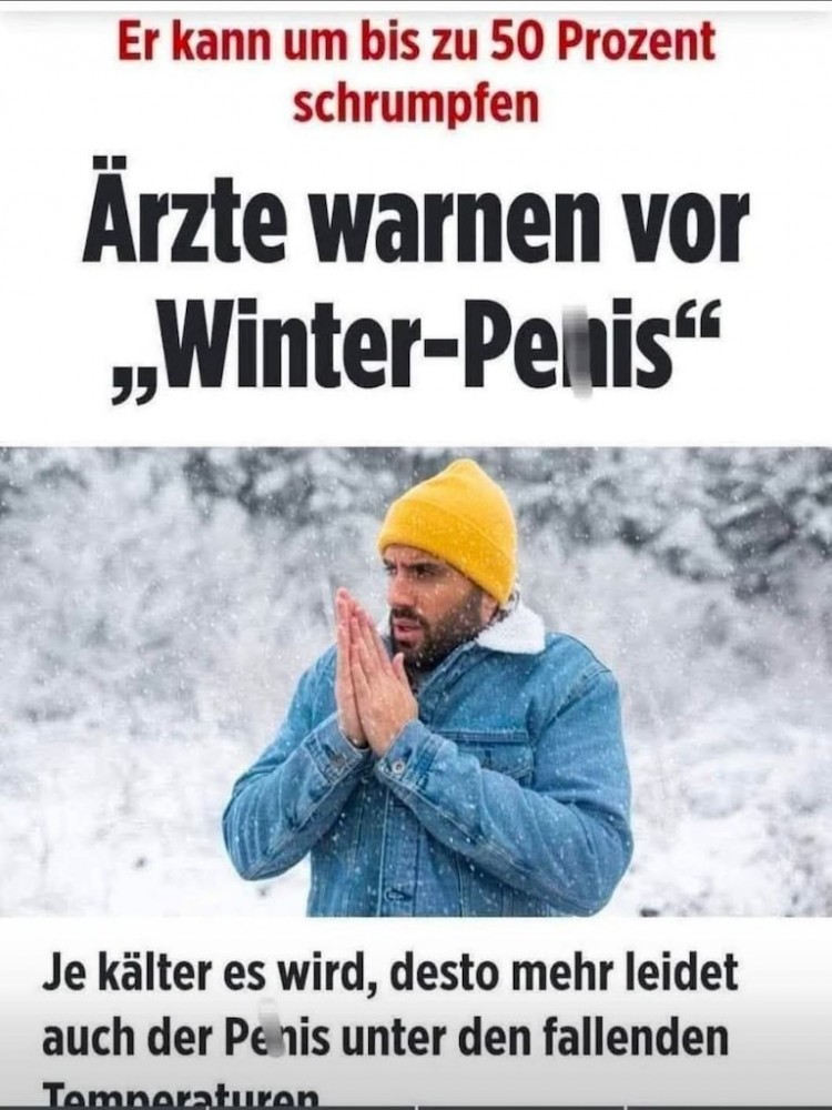Bild einfügen