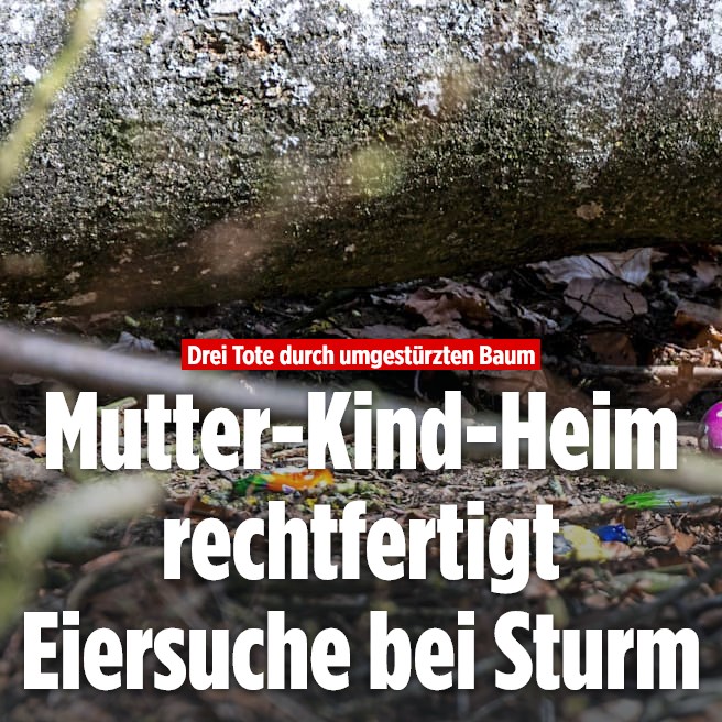 Bild einfügen